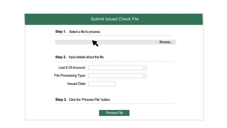 Submit New Issued Check File