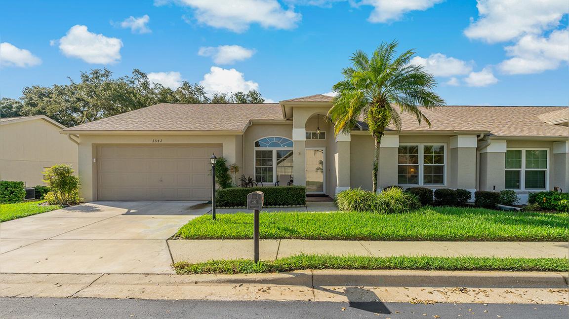 3542 Birkdale Ln, Palm Harbor, FL 34684