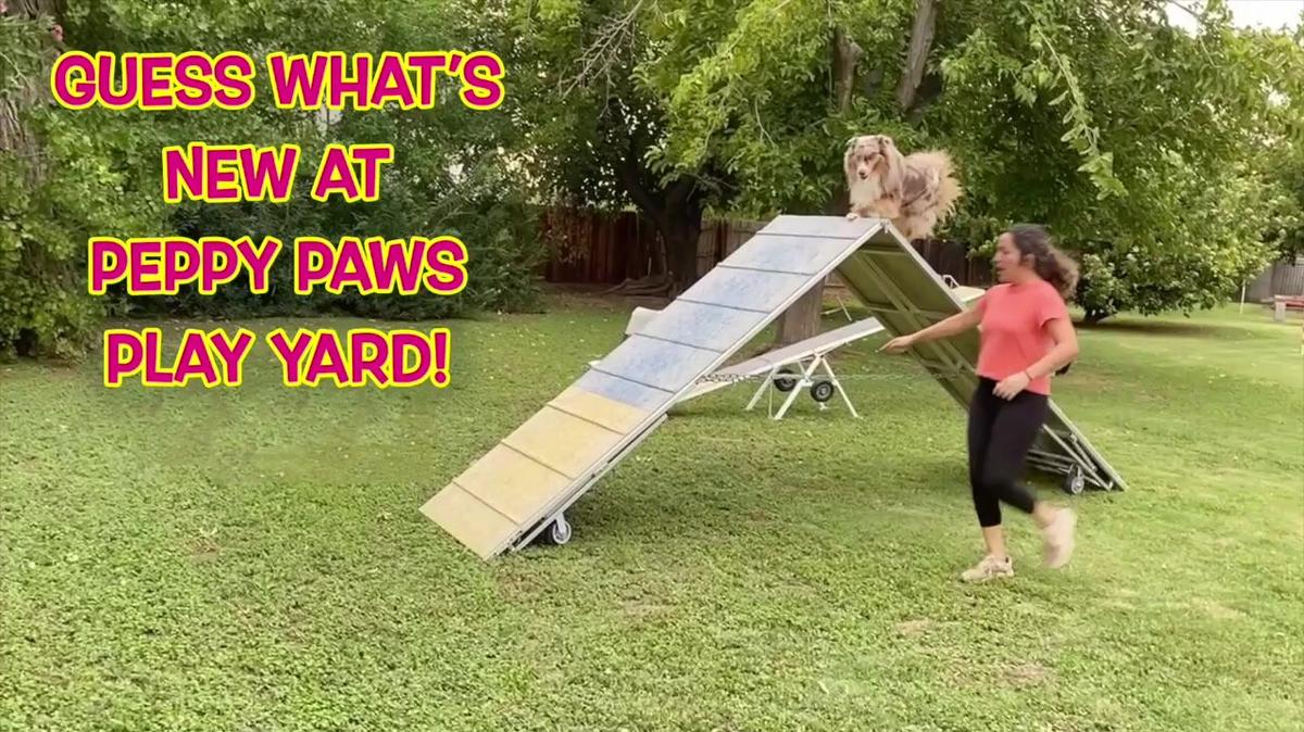 Guess What&#39;s New at Peppy Paws Play Yard!