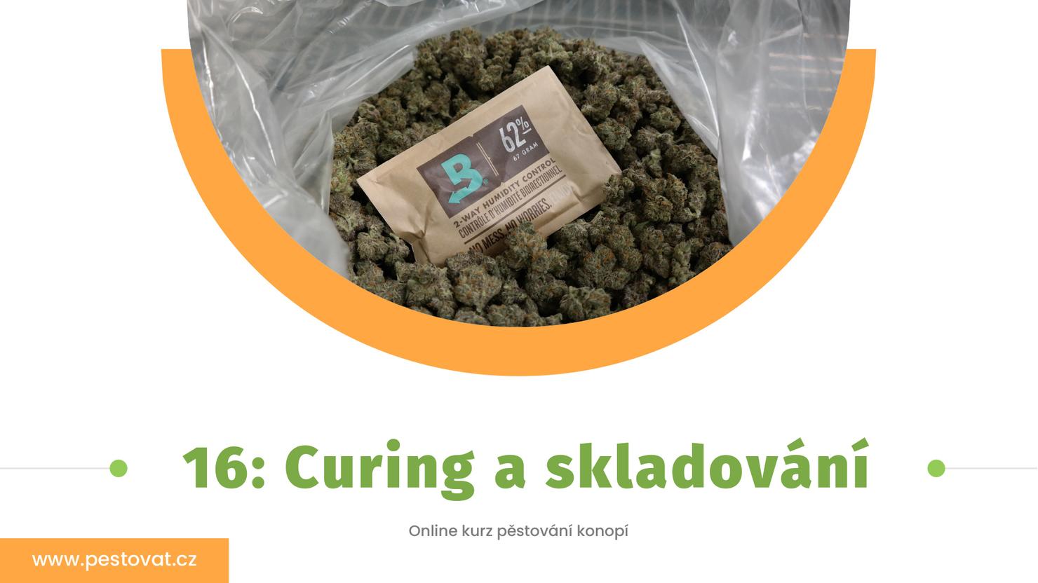 16. lekce: Curing a skladování