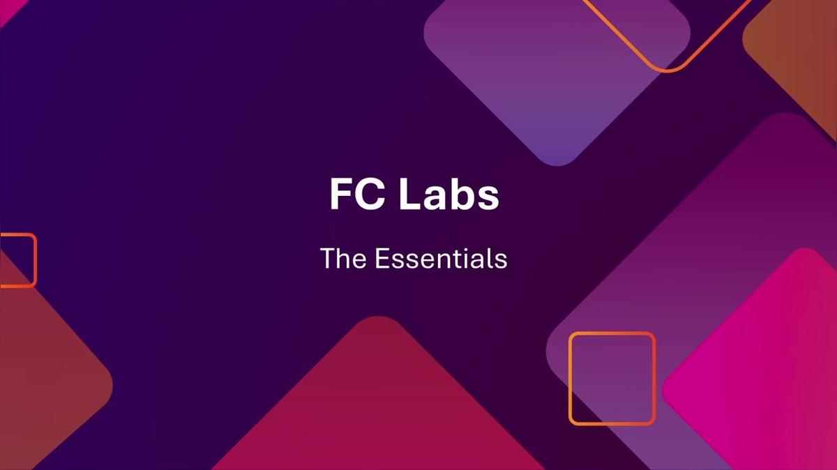 FC Labs Feb 2025