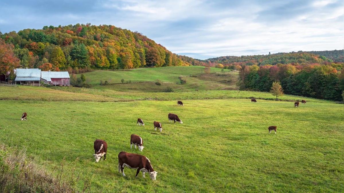 EEE: What You Need to Know