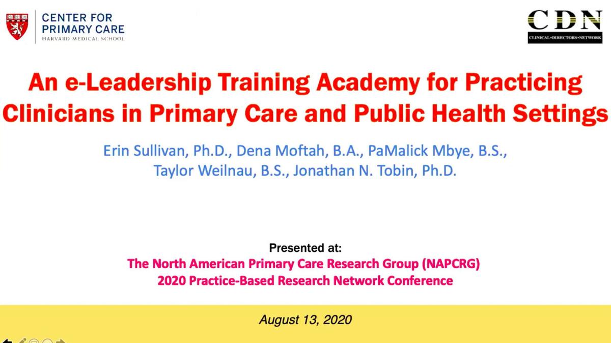 An e-Leadership Training Academy for Practicing Clinicians in Primary Care and Public Health Settings