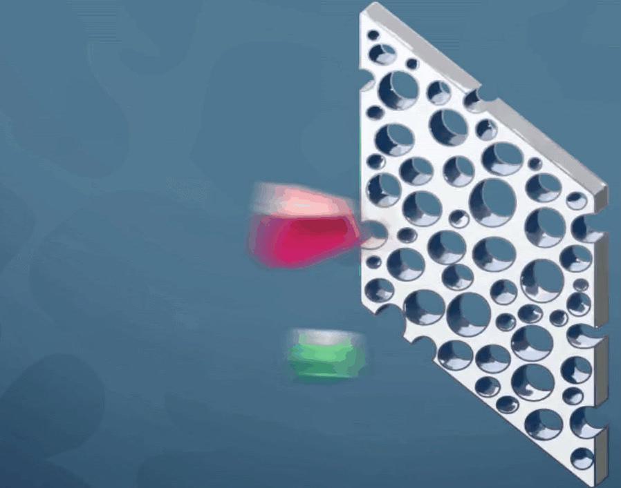 Homeostasis Gizmo - Filter Pore Size