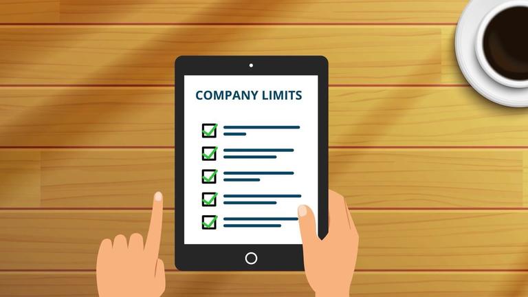 Company Limits Overview