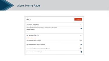 Security Alerts