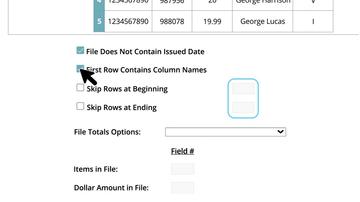Creating an Issue File Import Profile (File Mapping)