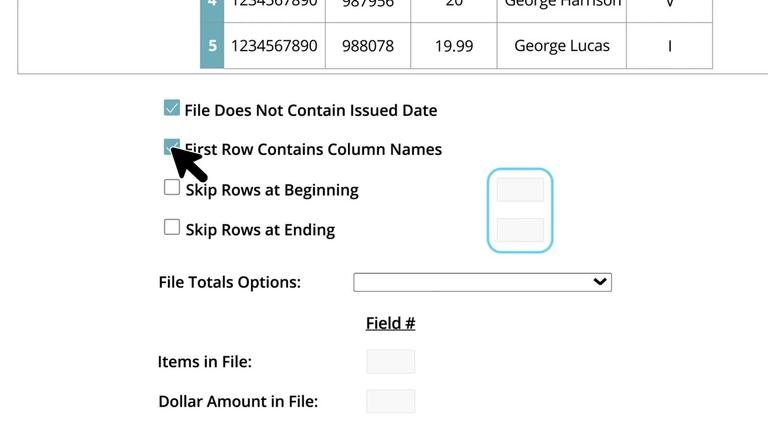 Creating an Issue File Import Profile (File Mapping)
