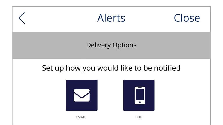 Alerts