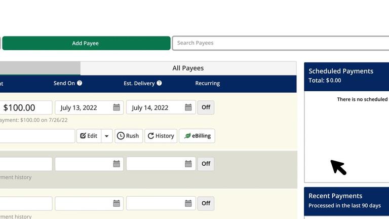 Creating a Single Payment