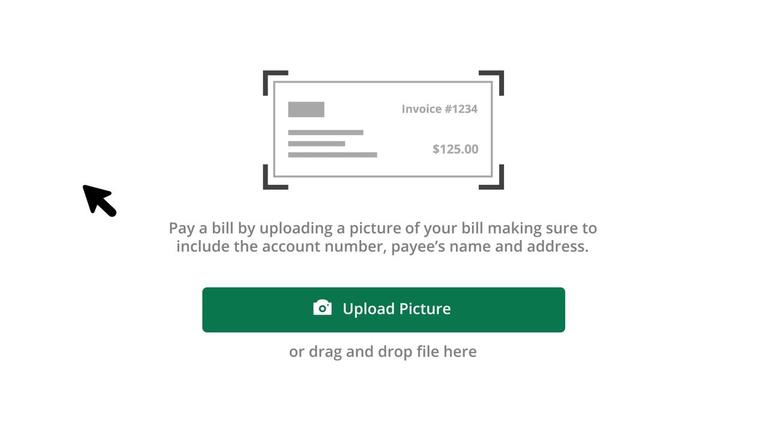 Pay with Picture