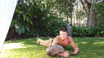 2022 Australian Firefighters Mixed Animal Calendar