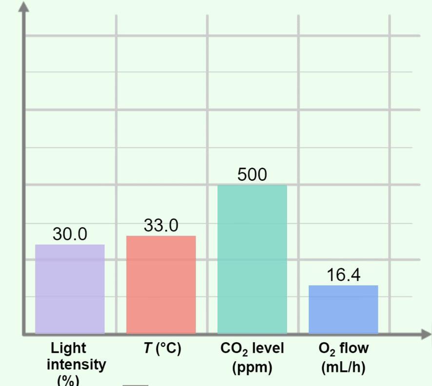 Temperature vs Oxygen - Plant and Snail