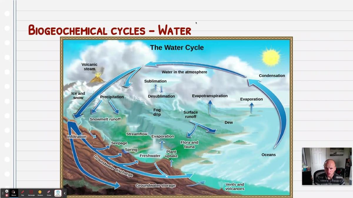 Topic 4: The Water Cycle