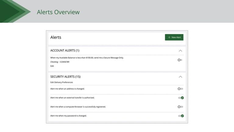 Alerts Overview