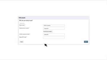 BPIP03 - Adding a Company Payee