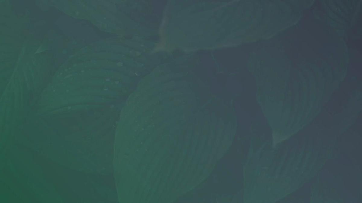 Live Stream 2021-01-25 15:9