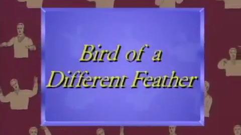 bird of a different feather excerpt.mp4