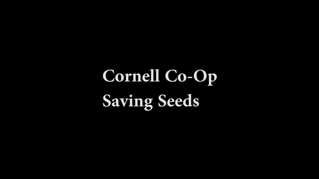 Cornell Co-Op Saving Seeds 9-2022
