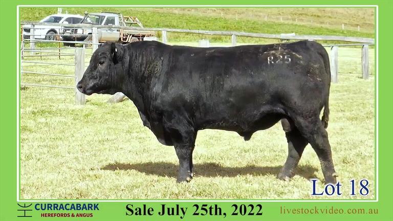 Lot 18 Curracabark 2022