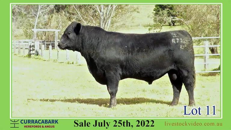 Lot 11 Curracabark 2022