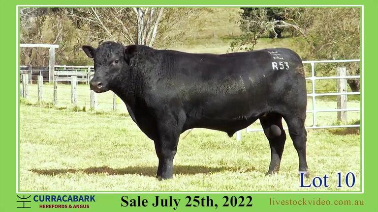 Lot 10 Curracabark 2022