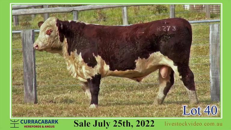 Lot 40 Curracabark 2022