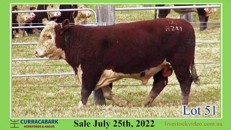 Lot 51 Curracabark 2022