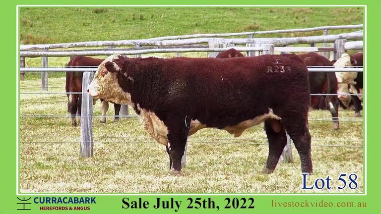 Lot 58 Curracabark 2022
