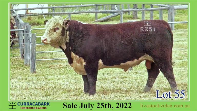 Lot 55 Curracabark 2022