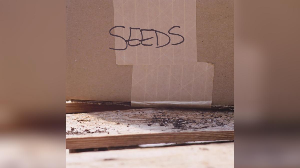 EARTH DAY 2022 30 1-1