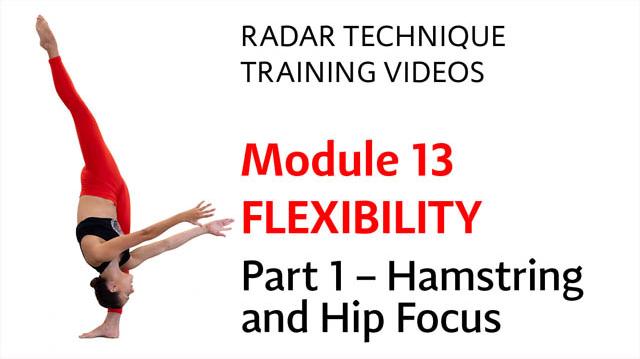 Module 13 Flexibility Part 1