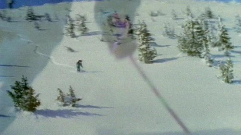 Ski Cow BC Dairy Foundation