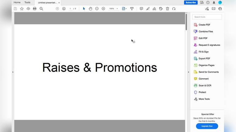 RAISES &amp; PROMOTIONS