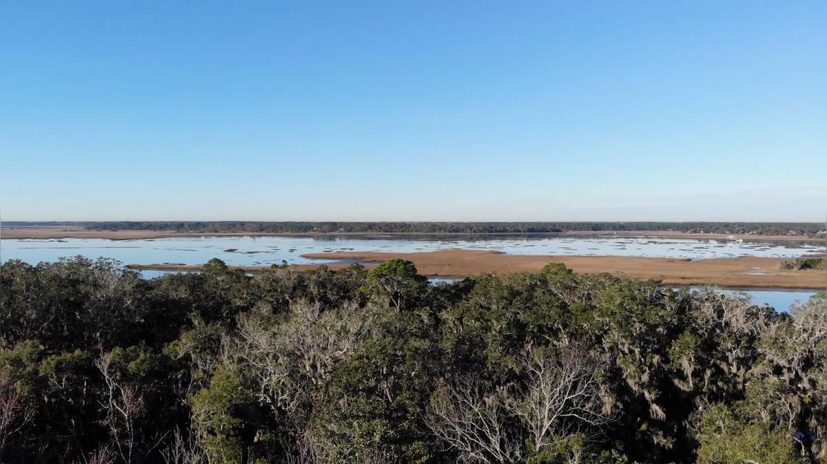 Drone Video - Rise Above Crane Island