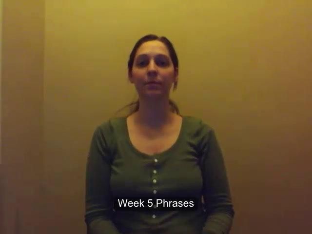 ASL 2 Q1 W5 Vocabulary Phrases (Sign With Me)