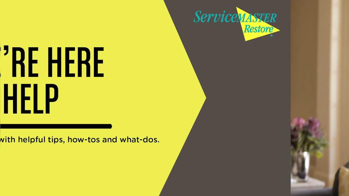 Carpet Cleaning in Huntington NY, ServiceMaster of Huntington