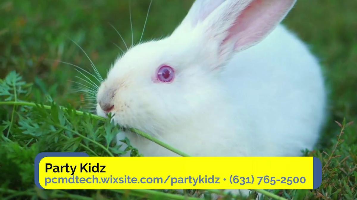 Bounce House Rentals in Southold NY, Party Kidz