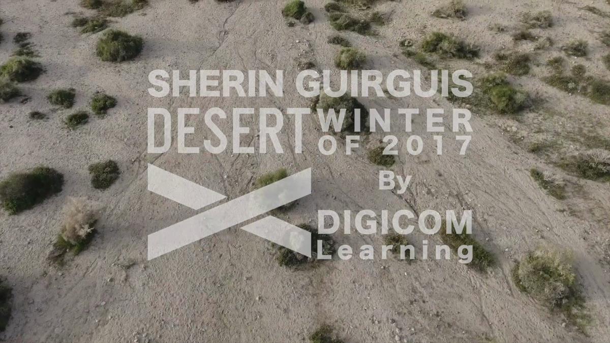 Desert X - Sherin Guirguis