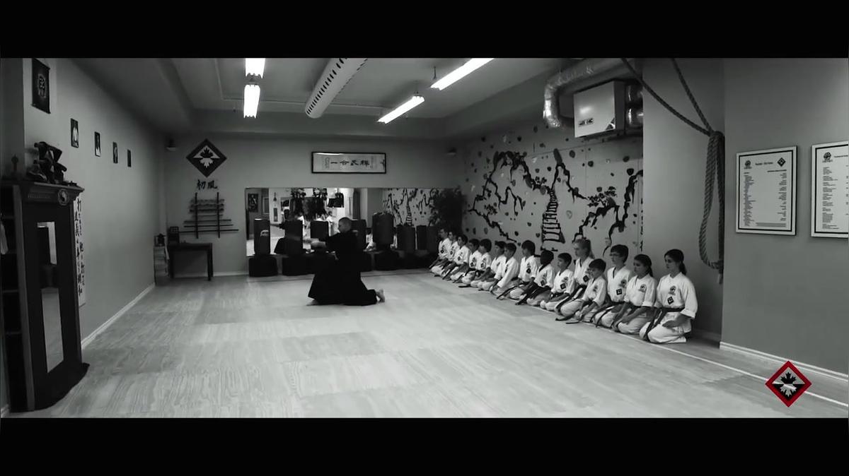 Martial Arts in Oakville ON, Toraguchi Martial Arts