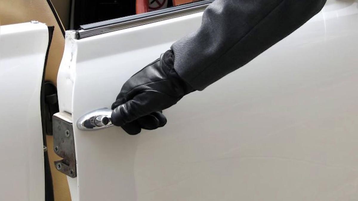 Tours And Transportation in Charlottesville VA, Top Shelf Transportation