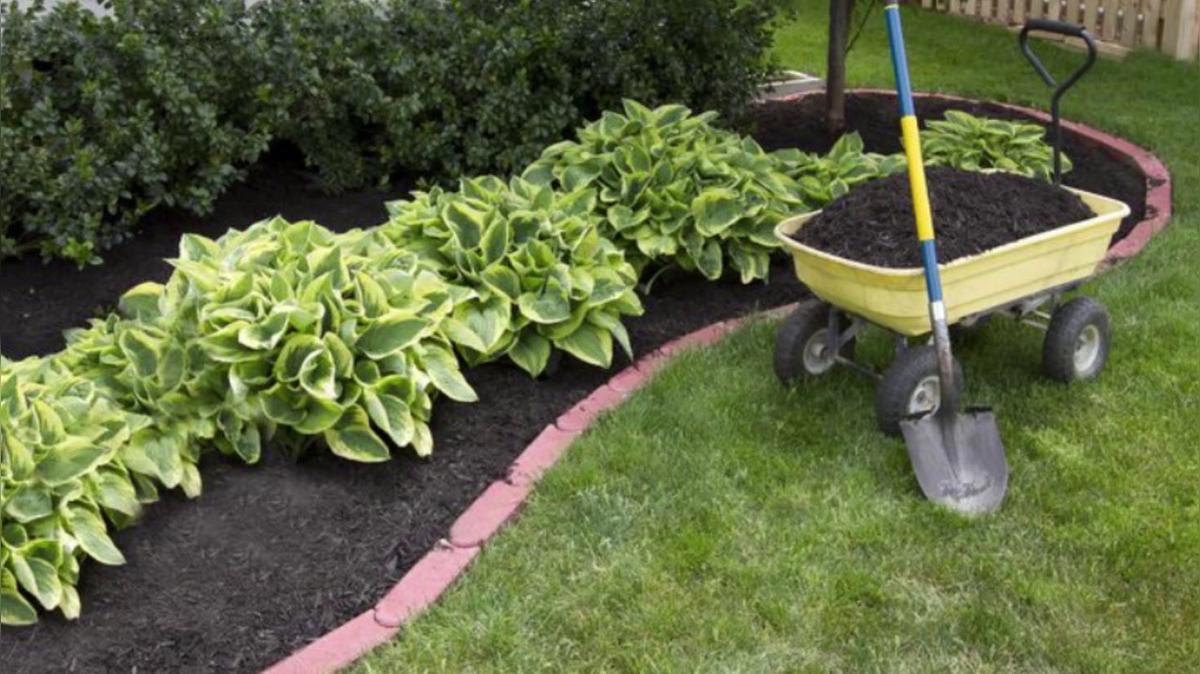 Lawn Care in Heath OH, Green Pro Lawns