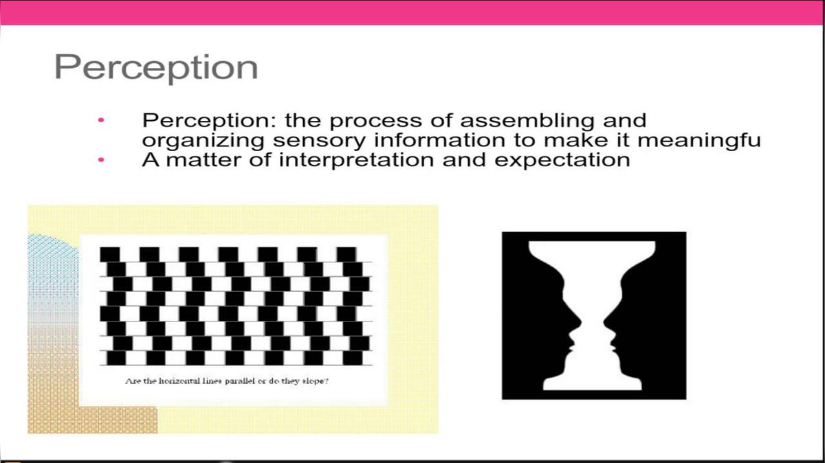 Psych Perception