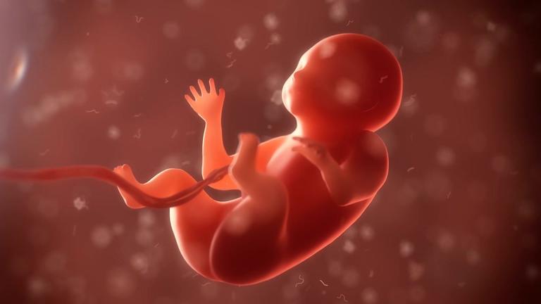 Baby-Entwicklungswoche 3