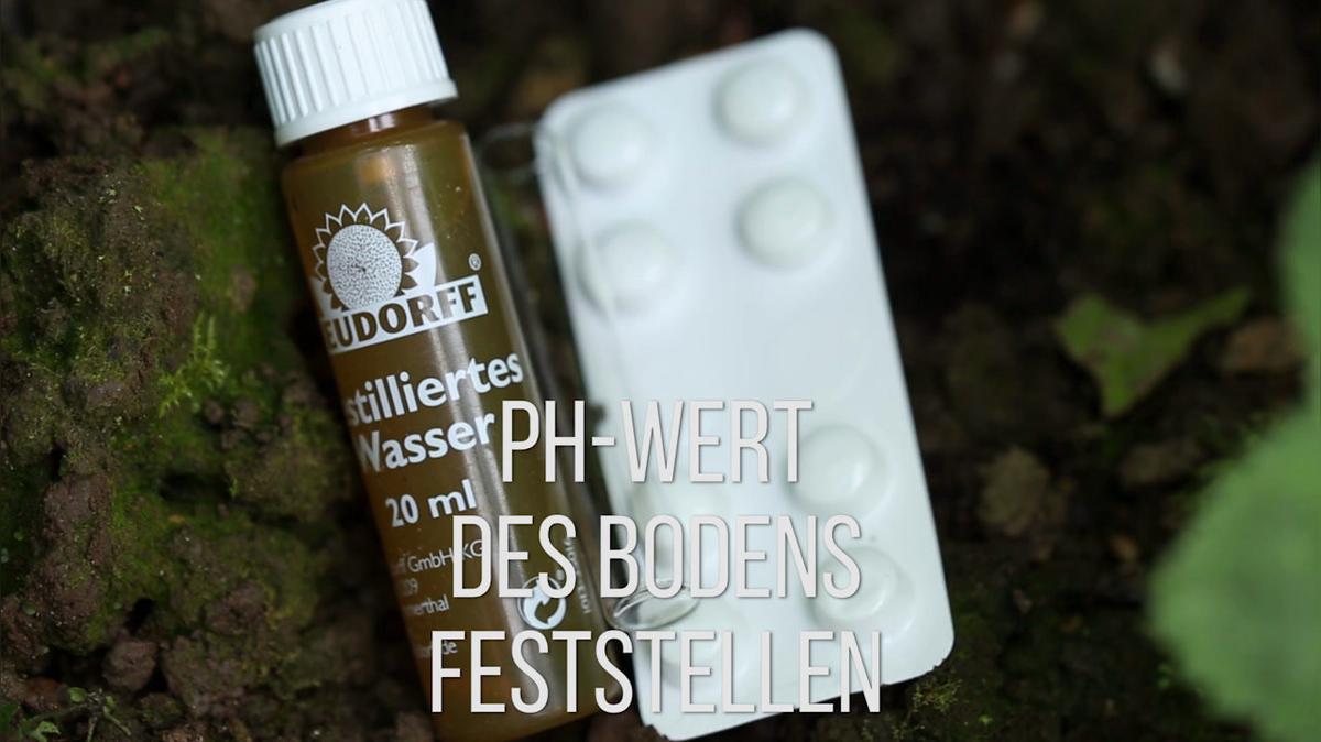 PH Wert des Bodens feststellen