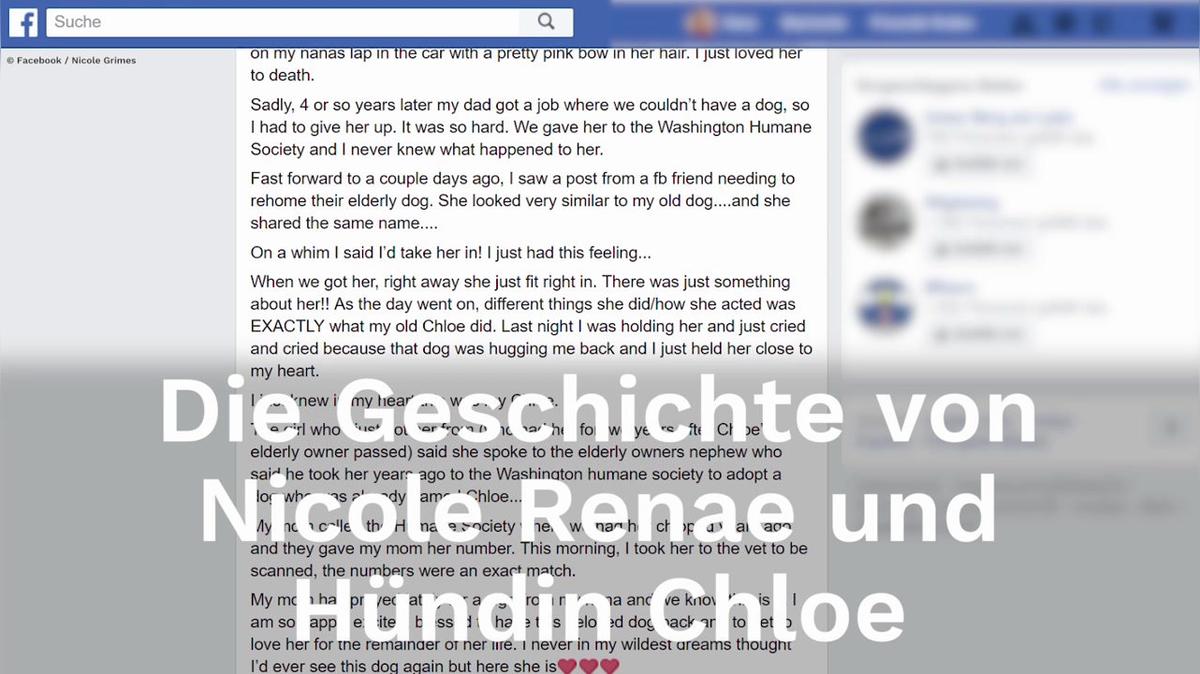 Hund und Frauchen trennen sich - Jahre später finden sie sich zufällig wieder