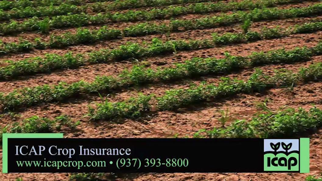 Crop Insurance in Hillsboro OH, ICAP Crop Insurance