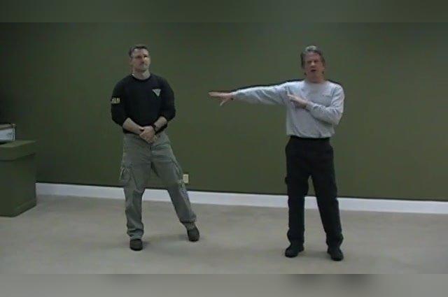 Body Design 13: Demonstration of Redirecting an Adversary's Energy