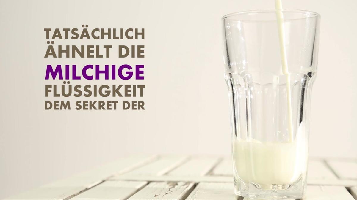 Mythos: Weibliche Ejakulation &quot;Das ist doch nur Urin&quot;
