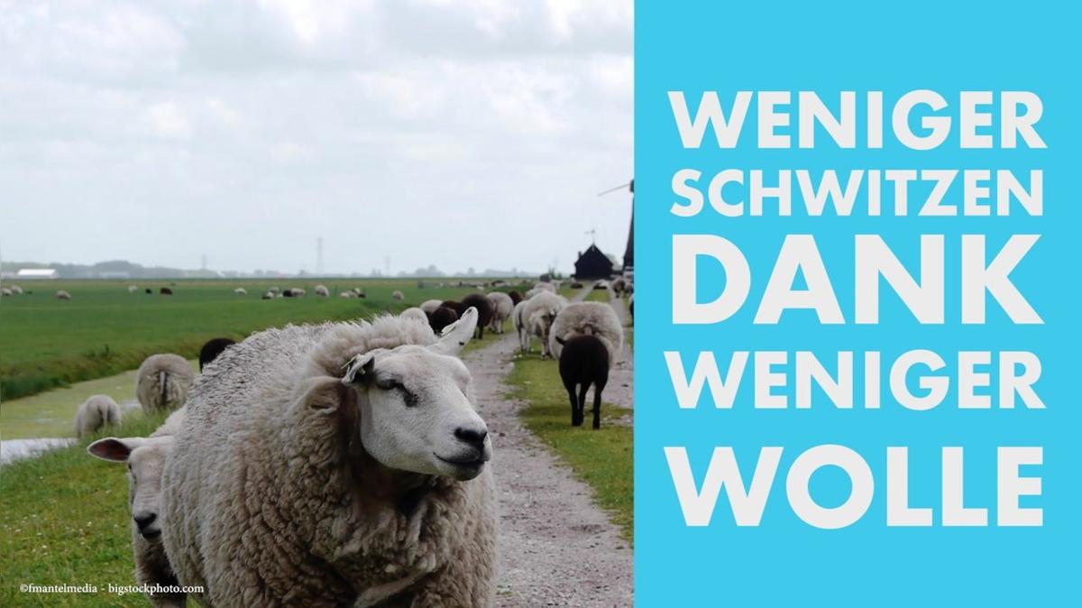 Darum sollten sich Männer die Schamhaare rasieren
